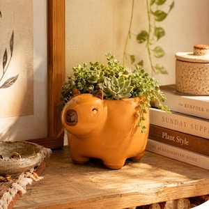Può includere: Un vaso in ceramica giallo senape lucido a forma di capibara, con dettagli del naso e della bocca in marrone scuro. Il vaso è riempito con una varietà di piante succulente verdi, tra cui piccole rosette e steli ricadenti.