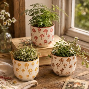 May include: Three ceramic plant pots with a repeating mushroom pattern. One pot features red mushrooms, one features yellow mushrooms, and one features brown mushrooms. Each pot contains a small green plant with tiny white flowers.