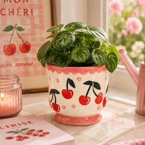 May include: A white ceramic planter with a scalloped pink rim and a base, decorated with a repeating pattern of red cherries, green leaves, and small pink stars. A green Peperomia plant with rounded, striped leaves sits inside the planter.