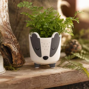 May include: A white ceramic planter shaped like a badger with a dark gray face pattern, closed eyes, and a black nose. The planter features three small feet and contains a vibrant green fern plant with delicate, feathery fronds.