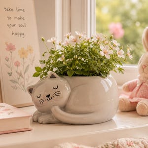 May include: A glossy light grey ceramic planter shaped like a sleeping cat with a painted face, containing a green plant with small white flowers. Next to it is a framed sign with the text "take time to make your soul happy" and a plush toy.