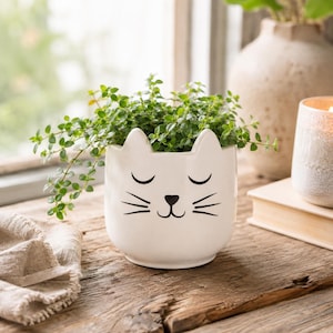 May include: A white ceramic planter shaped like a cat head with pointed ears, featuring black painted eyes, a small nose, and whiskers. The planter contains a lush green plant with small leaves, creating a vibrant contrast against the white surface.