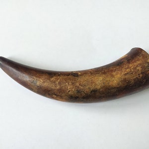 Könnte beinhalten: Ein braunes und braunes Tierhorn mit einer glatten, polierten Oberfläche.