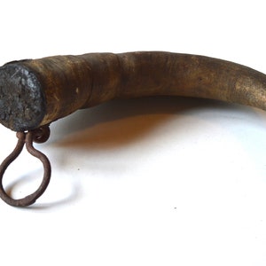May include: A brown animal horn with a metal ring attached to the base. The horn is curved and has a rough texture.