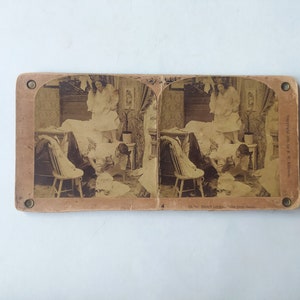 B. W. Kilburn, photo stéréoscopique originale de 1899, ne le laissez pas vous mordre / Photo stéréoscopique originale 3D, carte Stereoview, stéréoscope victorien