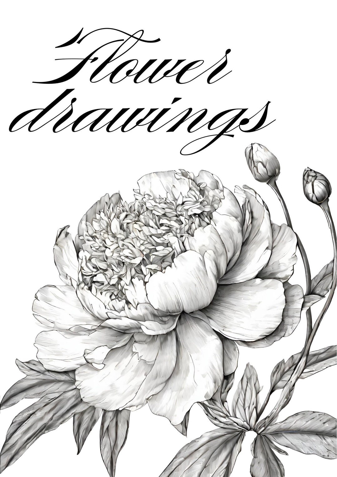 Printable Flower Drawings - Etsy