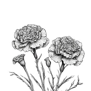 Printable Flower Drawings - Etsy