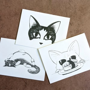 Cat cards, just because note cards 5 pack, Horizontal Theme