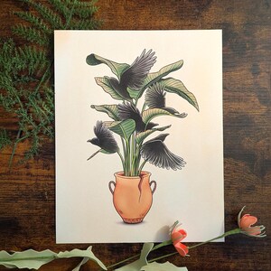 May include: A black and white illustration of a potted plant with multiple black birds perched on the leaves. The pot is a light orange color and has a crack in it.