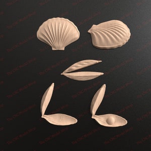 5 pcs, 3D relief STL files of Clam Shell