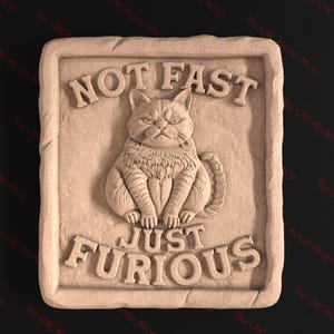 Op de afbeelding: Een vierkant bord van beige kleur met een reliëf, getextureerd oppervlak. Het bord toont een cartoonkat met een chagrijnige uitdrukking en de tekst "NOT FAST JUST FURIOUS".