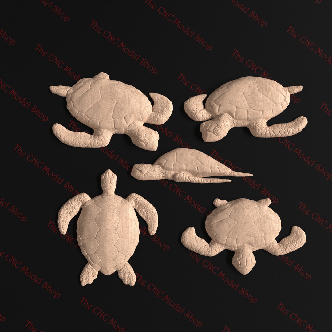 3D Relief STL Files of a Sea Turtle (includes 5 Models) - Etsy