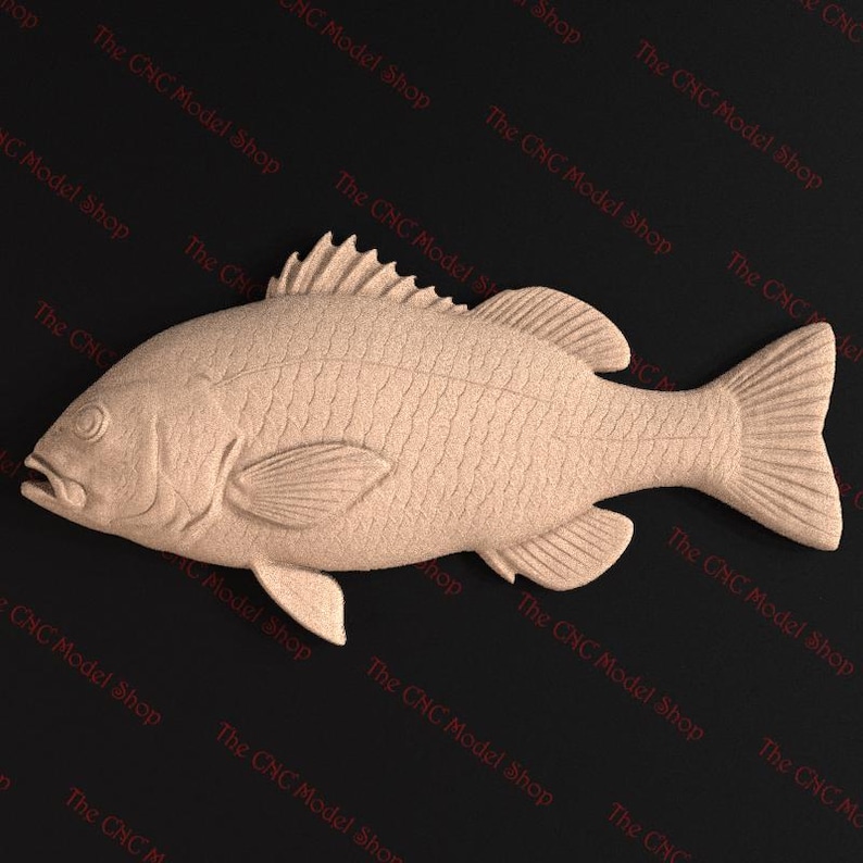 Visual Reference: Black Drum Fish 3D Relief Stl File For Cnc Router