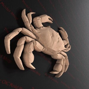 May include: A detailed, beige-coloured, wooden crab sculpture. The crab is positioned with its claws raised and its body facing the right side of the image.