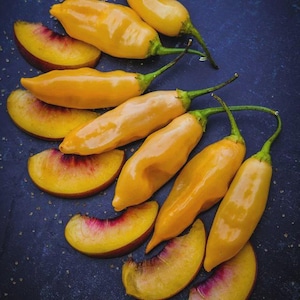 May include: An overhead shot features several yellow-orange peppers with green stems, alongside slices of peaches. The peppers have a smooth, elongated shape. The peach slices display a gradient of yellow to red hues. The arrangement is set against a dark blue background.