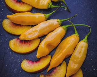 Sugar Rush Peach Pepper: Sweet, Fruity, and Gourmet (3" Container)