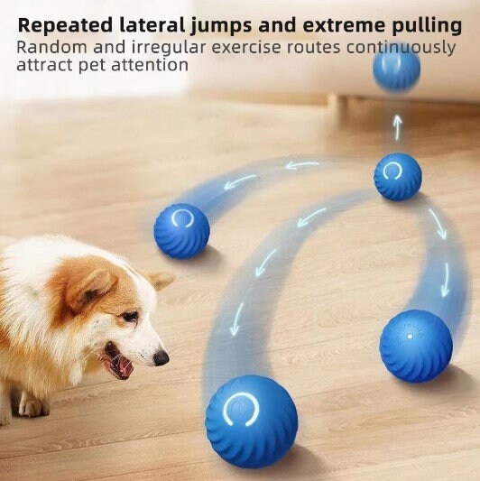 Rolling Pet Toy Ball Etsy Ireland