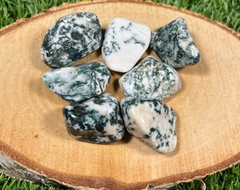 High Quality Tree Agate Crystals, Tree Agate Tumblestones, UK Crystals, Ethically Sourced, Crystal Gift, heart chakra, anti anxiety
