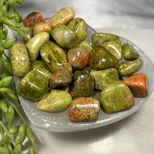 May include: A collection of tumbled unakite stones in a clear, shallow bowl. The stones are a mix of green and orange-red, with a polished, smooth texture. The bowl is set against a soft, neutral background.