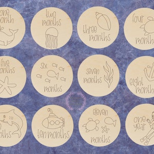 Oceano, Segni di pietra miliare mensili, Sotto il mare, Animale, Marcatori di gravidanza, Regalo per baby shower, Legno inciso, Segno mensile per bambino, Oggetto di scena fotografico