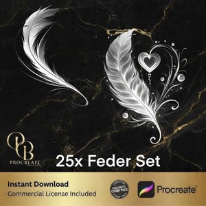 Feather Fantasy Bestseller: 25 Feather Stamp Pack Vol.1 – Procreate iPad Magic – Instant Download!