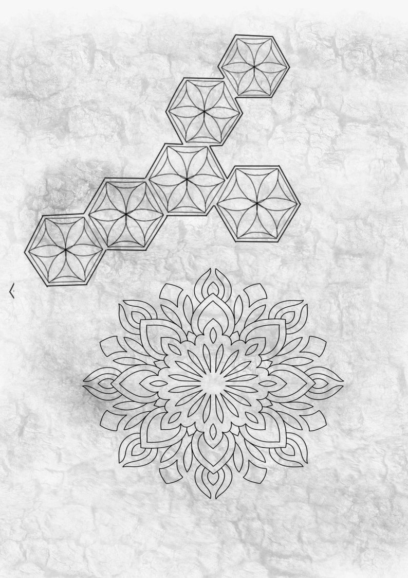 33 Dotwork Pattern Mandala Stamp iPad Procreate zdjęcie 2