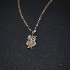 Golden owl necklace: trendy accessory for nature lovers | owl necklace | golden necklace with owl pendant | enchanting owl | animals