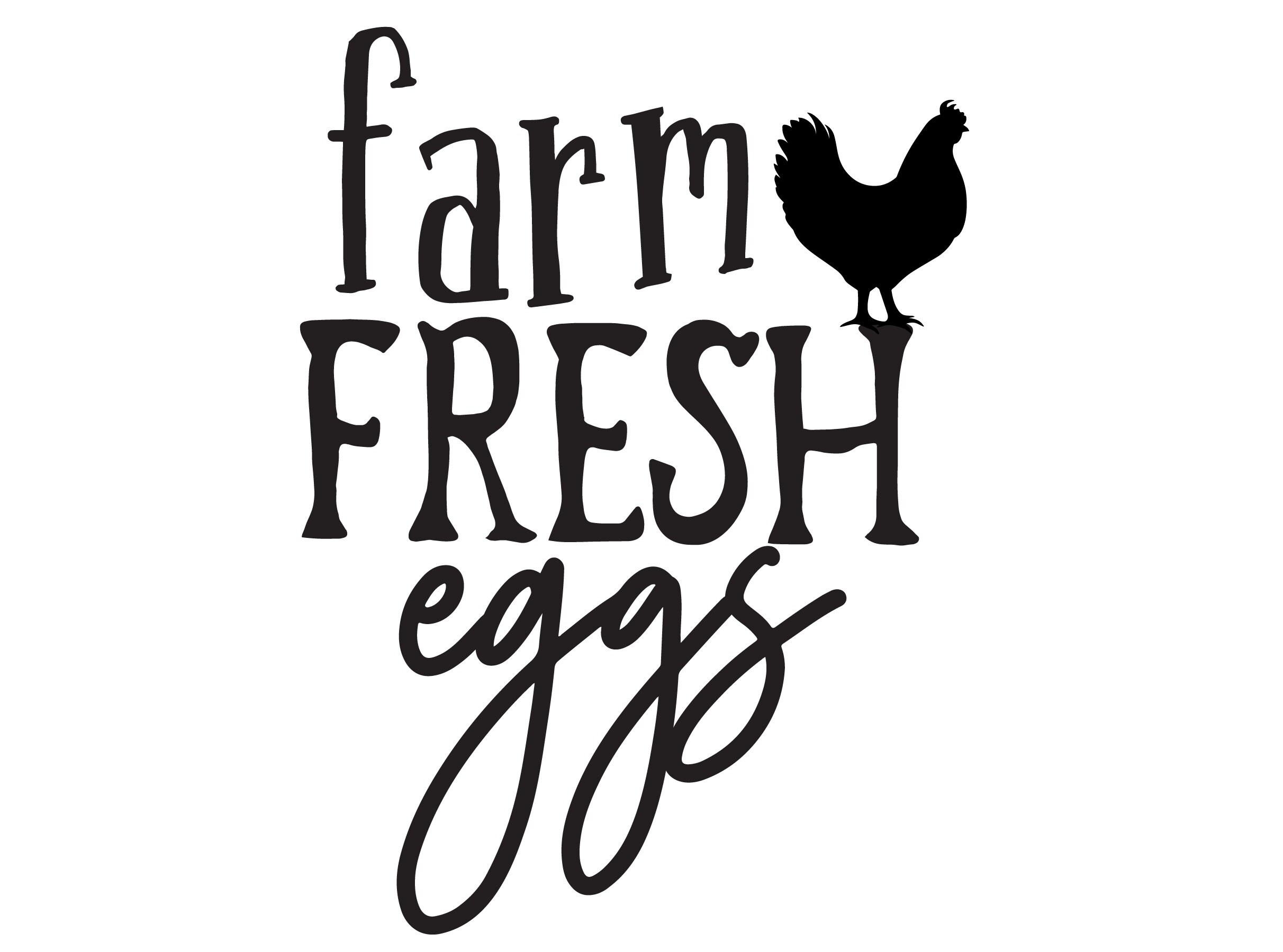 Farm fresh eggs Svg eggs SVG Animal jpg farmhouse Eps Etsy