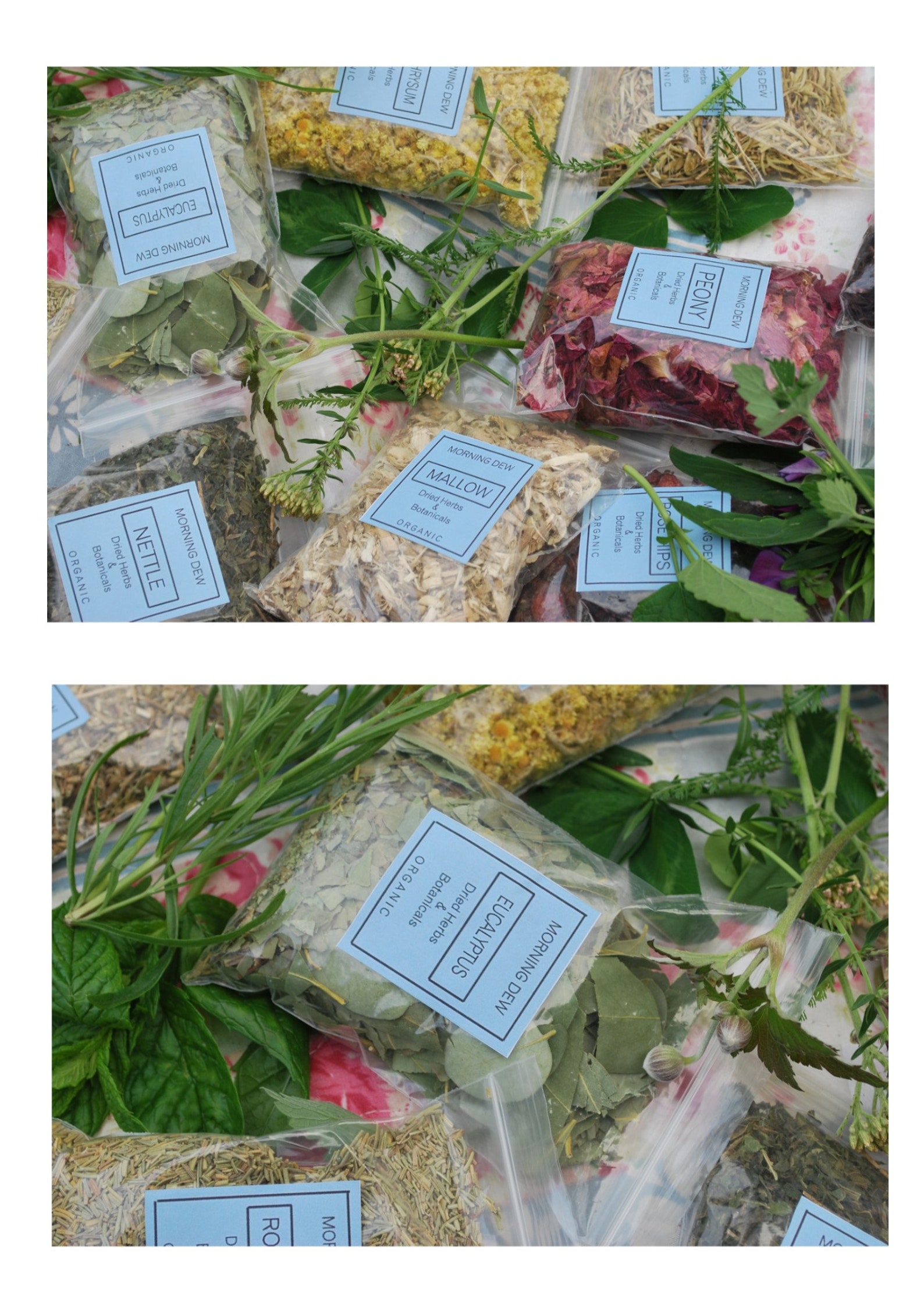 Dried Herbs 40gms selected bag of herbs Etsy