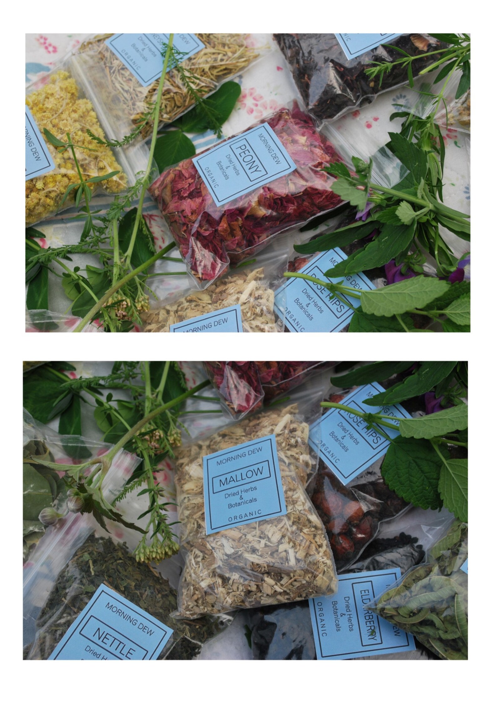 Dried Herbs 40gms selected bag of herbs Etsy