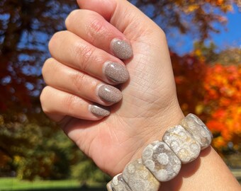 高品質の化石サンゴバングル、幅20mm