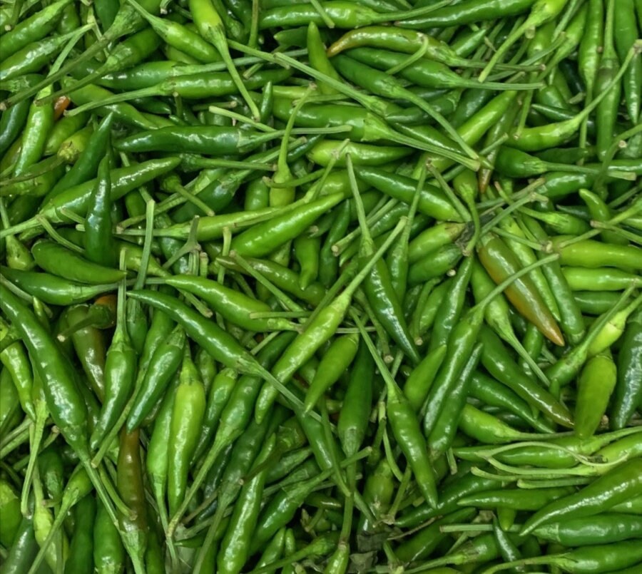 500 Gram 1.75 kg Fresh Green Bird's Eye Hot Chili Etsy
