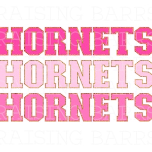 Pink hornets sublimation design| Hornets png, hornets mascot png, Hornet png digital design download, mascot design