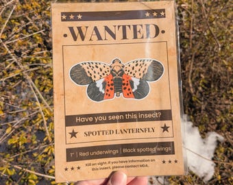 May include: A brown "Wanted" poster featuring a spotted lanternfly illustration with red underwings and black spotted wings. The poster includes the text "Have you seen this insect?" and "Kill on sight. If you have information on this insect, please contact MDA."