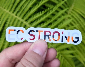 May include: A rectangular sticker with the text "EC STRONG" in a colorful, patterned font. The letters are a mix of orange, red, and black, set against a white background. The sticker is held against a backdrop of green fern leaves.