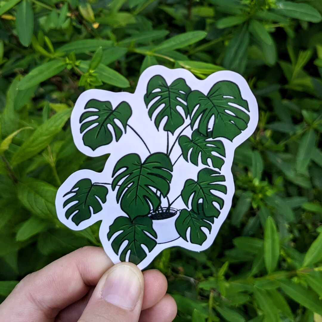 Monstera Vinyl Sticker - Potted Plant | Glossy Water Resistant - Cute ...