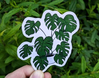 May include: A white sticker featuring a green monstera plant in a white pot. The plant has large, split leaves and is set against a background of green foliage. The sticker is held by a hand.
