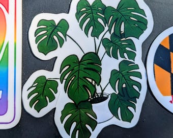Monstera Plant Magnet | UV and Water Resistant for Fridge or Car Bumper
