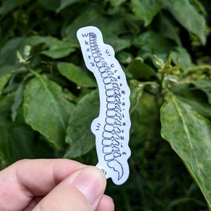 May include: A white sticker in the shape of a spine with the words "what's crack-a-lackin" written vertically. The sticker is held in front of a background of green leaves.