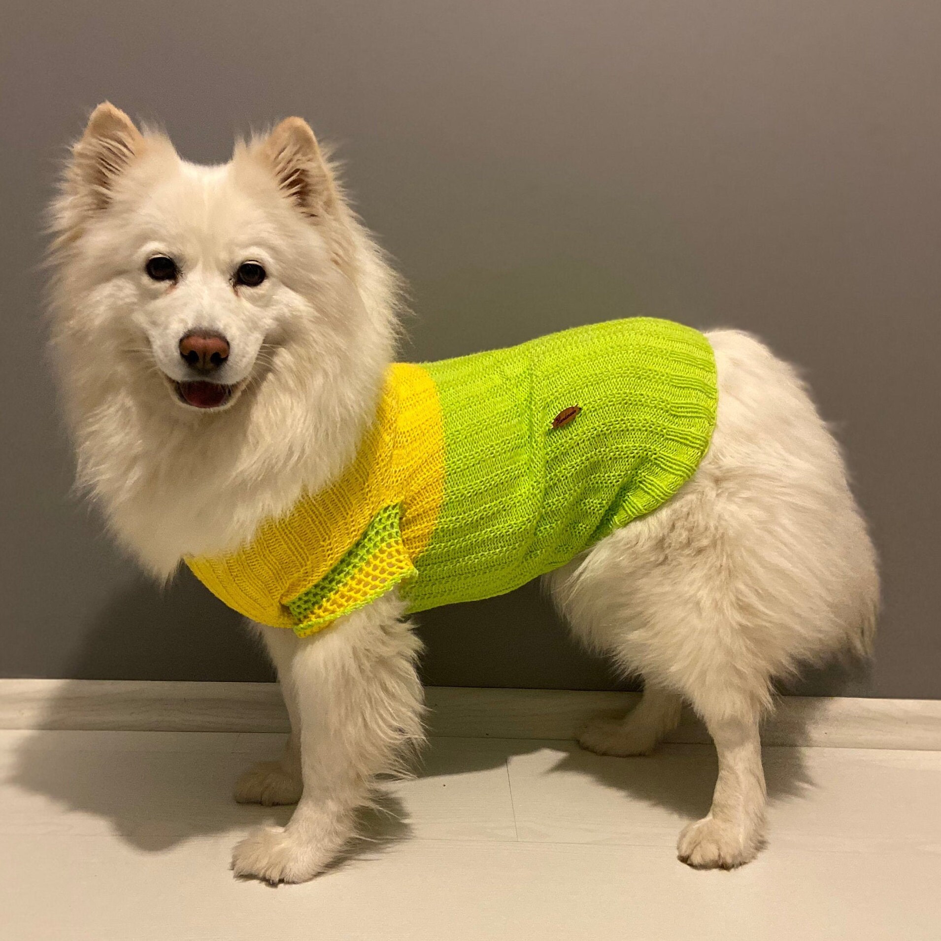 Comfortable Dog Clothes Personalized Pet Sweater Handmade Etsy