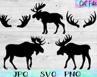 Elch Silhouette SVG Bundle: Geweih Dekor Dateien Digital Download Elch Kopf SVG, Elch PNG, Elch Silhouette, Elch Geweih SVG Elch Aufkleber