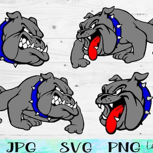 English Bulldog SVG with a Blue Collar, Bulldogs Svg, Bulldog Stencil, Bulldog Mascot Svg, Bulldog Png, Dog Face Svg, Basketball, Football