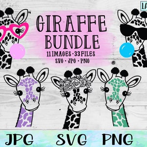 Giraffe SVG, Giraffe PNG, Giraffe Svg File Bundle, Giraffe Baby Shower, Safari Animals Svg, Giraffe Shirt File, Floral Giraffe Svg, Giraffe