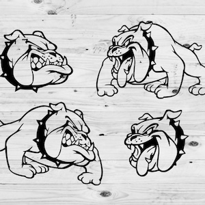English Bulldog SVG, Bulldog Stencil Svg, Bulldogs Svg, Bulldog Mascot Svg & Png, Dog Face Svg, Bulldog Basketball Bulldogs Football Bundle