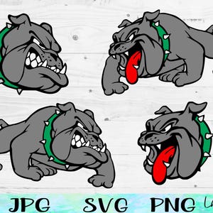English Bulldog SVG with a Green Collar, Bulldogs Svg, Bulldog Stencil, Bulldog Mascot Svg, Bulldog Png, Dog Face Svg, Basketball, Football