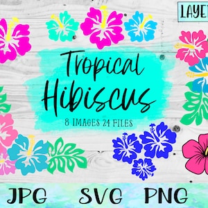 Lot SVG fleur d'hibiscus tropical : sticker chemise hawaïenne (téléchargement numérique)