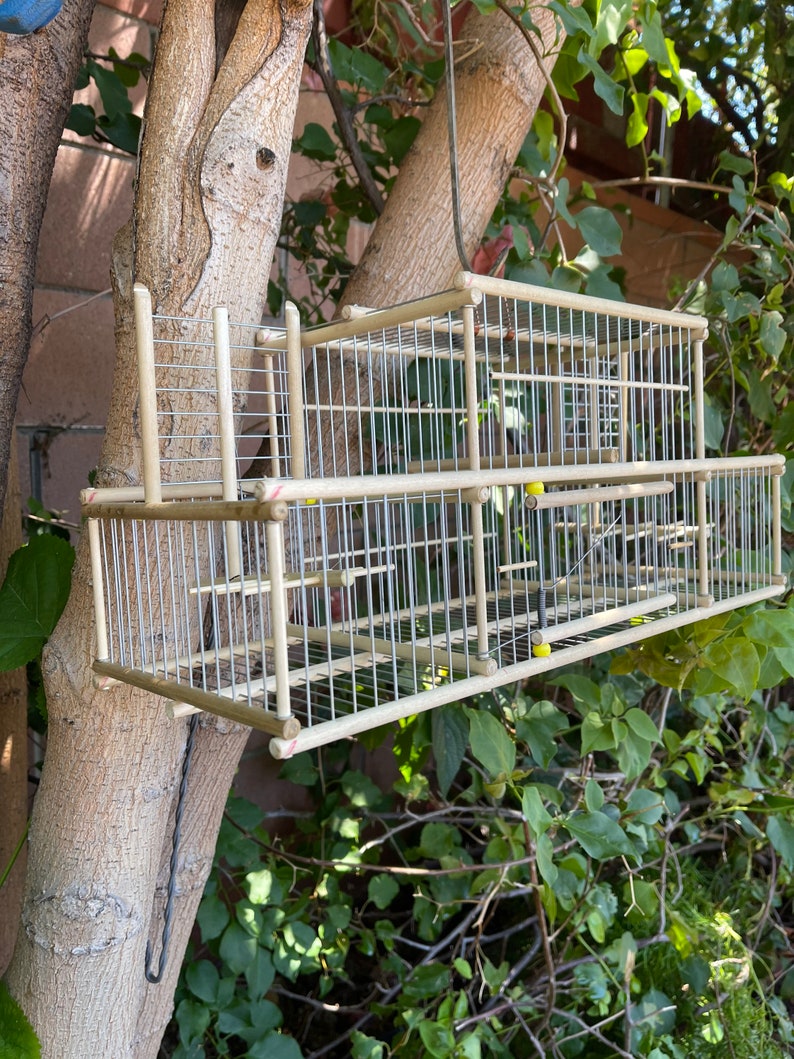 Bird Trap/bird Cage/handmade/bird Catcher Etsy