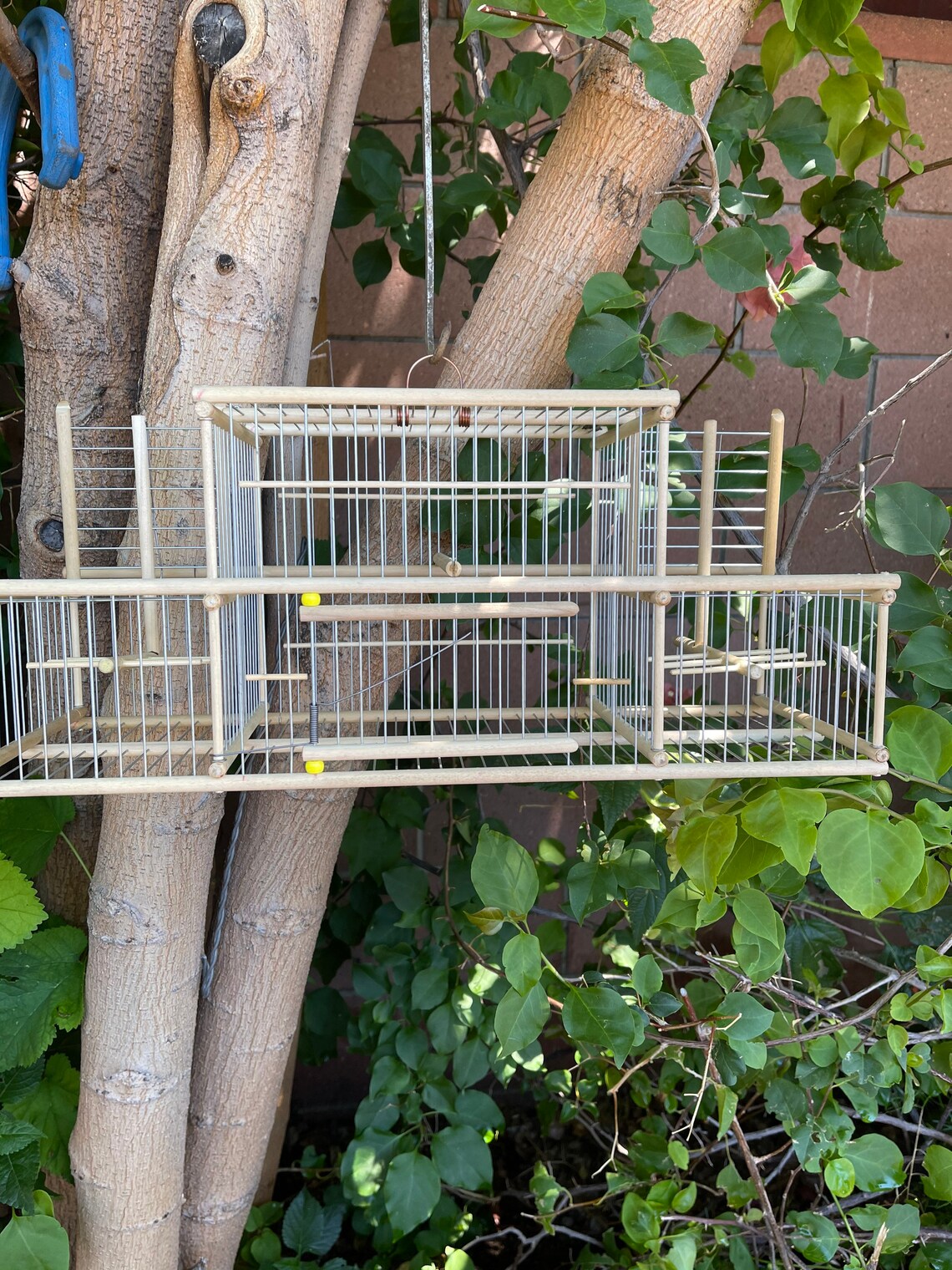 Bird Trap/bird Cage/handmade/bird Catcher Etsy