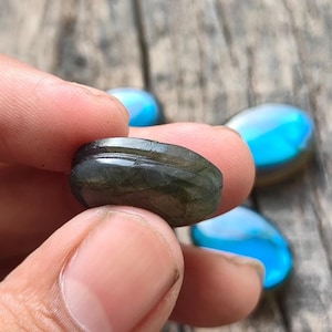 May include: A dark, oval-shaped gemstone, held between fingers, with a polished surface and subtle green and gray hues. Several other blue-toned, oval stones are visible in the background, suggesting a collection of gemstones.