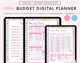 2024 Digital Budget Planner, GoodNotes Digital Planner, Budget Planner, Digital Planner for iPad, Savings Monthly Budget, Paycheck Budget